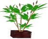 Basic Plant v1