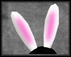 Playboy Bunny Ears