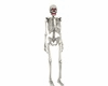 P9)Skeleton Avatar