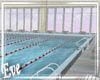 ♣ Swimming Pool