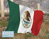 WINDY MEXICO FLAG REQ