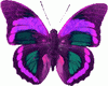 Neon Butterfly 3