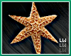 Head Starfish LF