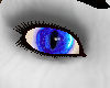 magic blue cat eyes