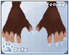 [Pets] Pip | claws F