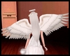 White Angel Wings [f]