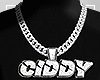CiDDY Custom `