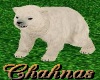 Zoo Ani Polar Bear Cub