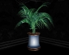 ~SE~Blue Vase Palm