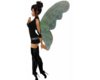 fairy wings 30