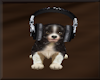 Gone Country Puppy Radio