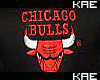 Official`Bulls SNAP BACK