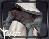 BurningBlouse~