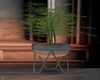 Vintage Coco Plant