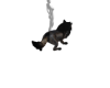 Luna The Female Wolf