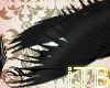~(*Black Swan Wings*)~