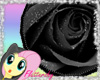 ~FS~ Black Rose Rug