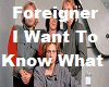 Foreigner - I Want To