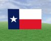 ~Texas flag (FN)