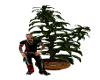 Plants (v1 "K")