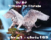 Tribute To Chrisje DJBJ