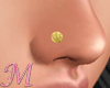 Nose Piercing Gold