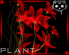 Plant Purple 3b Ⓚ