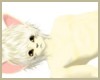 Cream Cat Furry