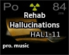 Rehab - Hallucinations