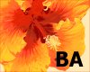 [BA] Hawaiian Flower 