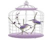 Bird cage Paris romance