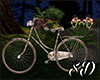 💋 l Garden Bike