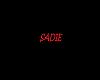 SadieFloorSign