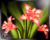 |BP|:Serene:Lotus Plant