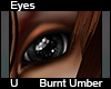 Burnt Umber Eyes