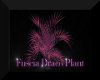 The Fuscia Draco Plant