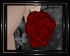 !T! Hangers | Roses R