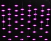 light chains