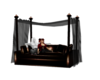 Dark Daybed/couch