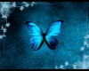 {LA} Denim Butterfly