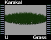 Karakal Grass