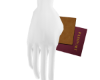 Male Red Passport