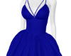 DS|RBLUE GOWN
