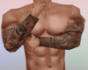 Full Arms Inked