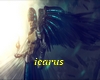 icarus project