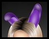 Bunny Ears Purple
