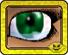 Banshee Emerald Eyes