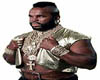 The Mr. T