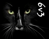 6v3| Black Cat Rug