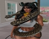 D.G. Snake Charmer